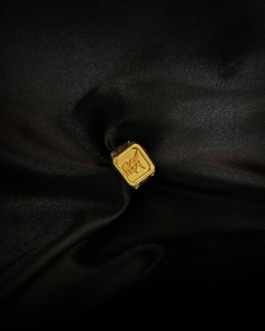 Anillo San miguel Arcángel en Oro 18k